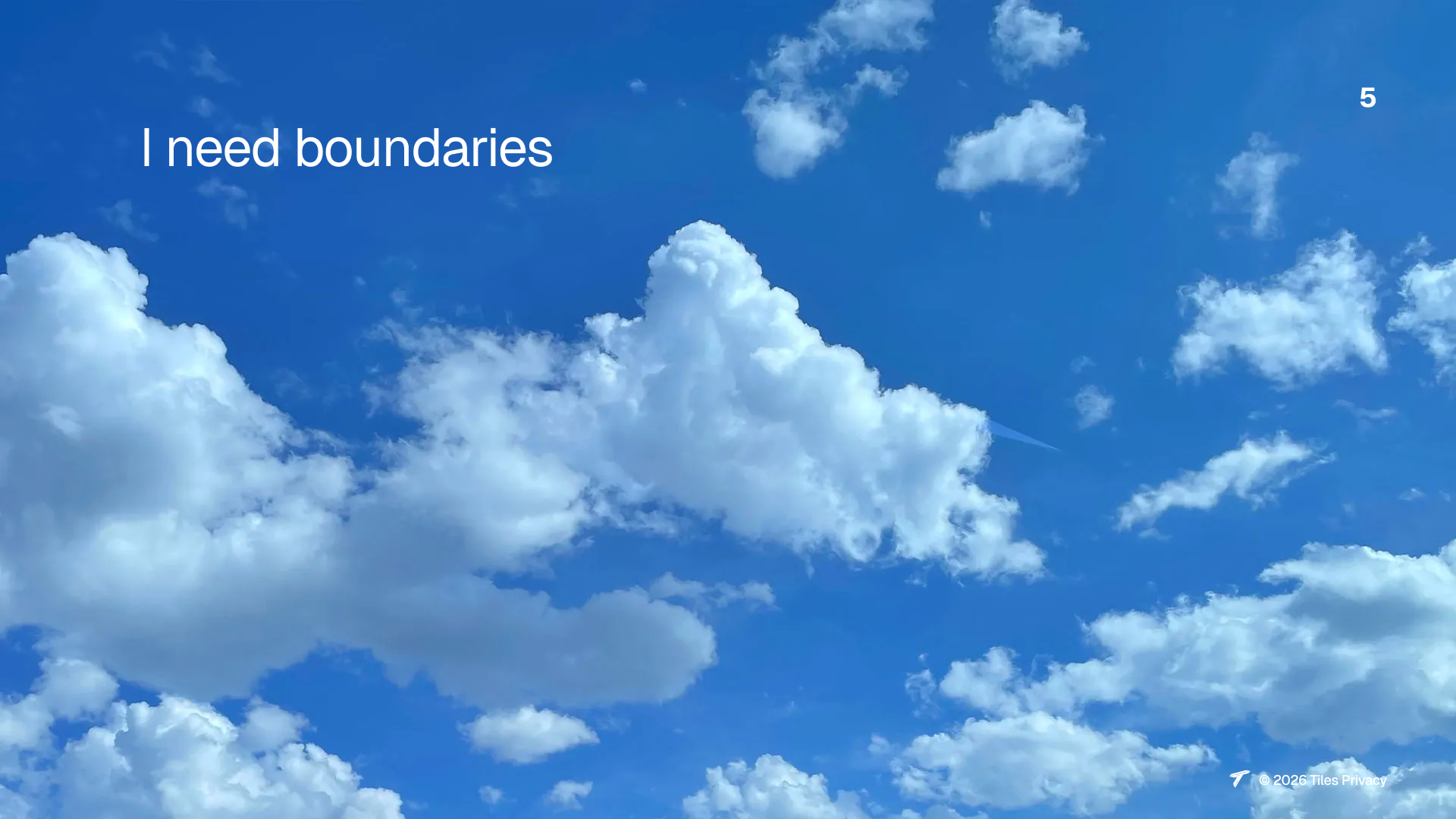 Slide 5
